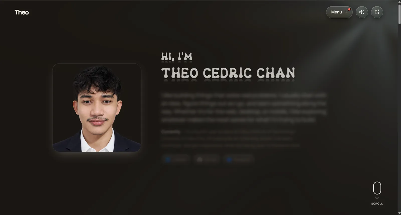 Theo - Full-Stack Developer portfolio website screenshot by fredbear8420