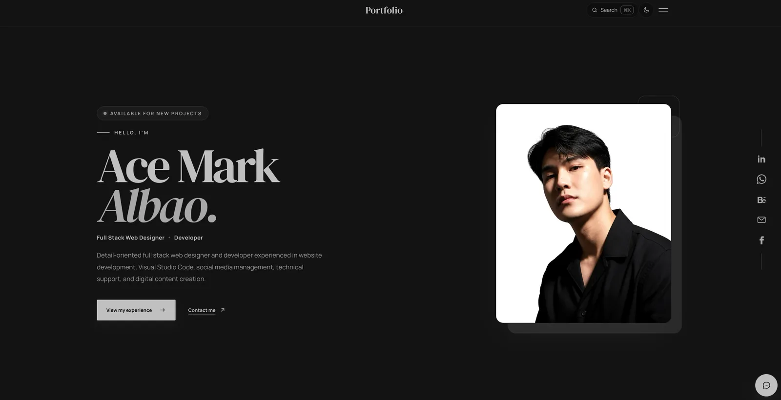 Ace Mark Albao - Full Stack Website Developer & Designer portfolio screenshot