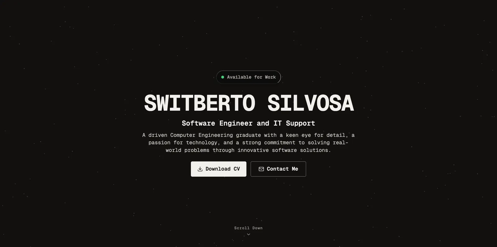 Switberto — Interactive Developer Portfolio portfolio screenshot